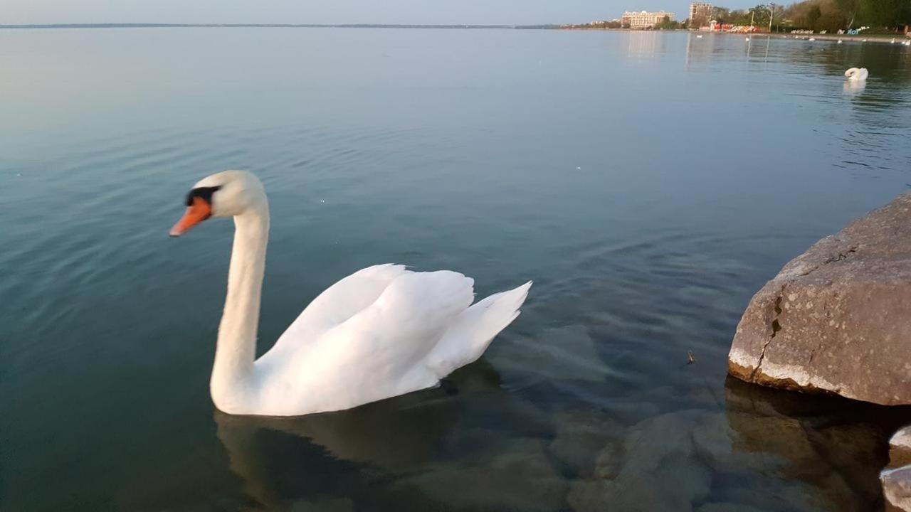 Ilona Apartmanhaz Siofok Dış mekan fotoğraf